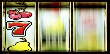 pashoki Bingo Bonanza
